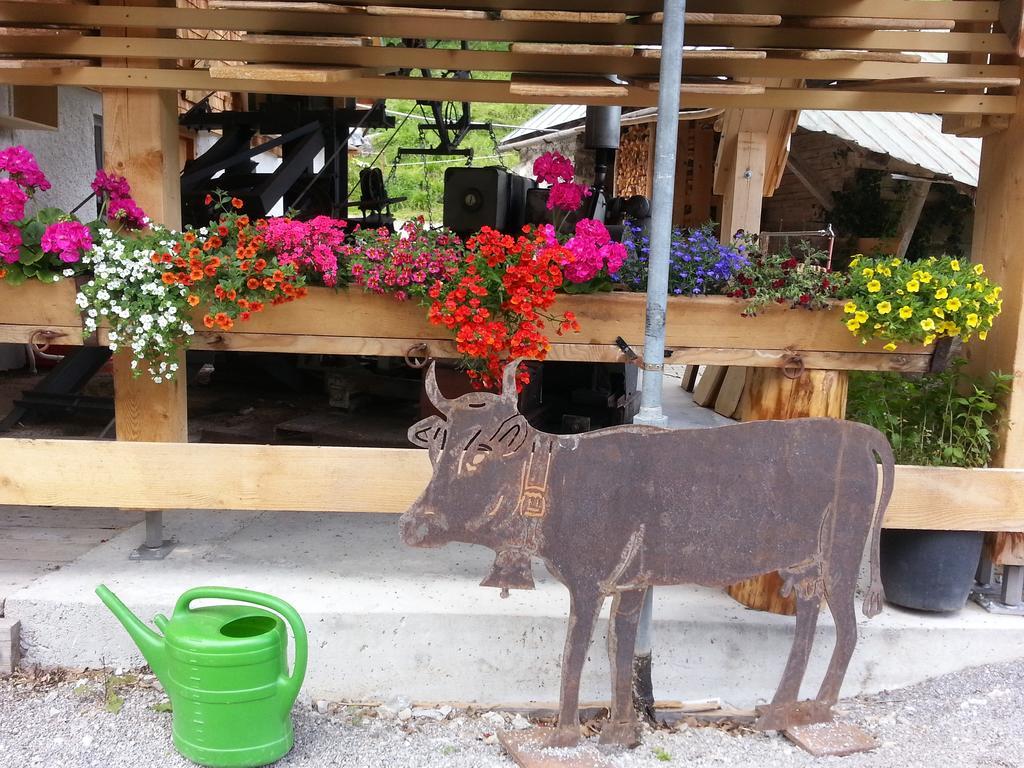 Landhaus Seehof Füssen Buitenkant foto